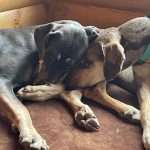 345861212_657677219523035_3019862789859217545_n